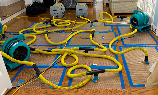 Professional Basement Flood Cleanup technician working in Kimball, NE